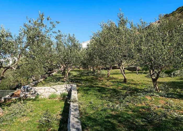 Katica-2 By Interhome * 수페타르스카 드라가